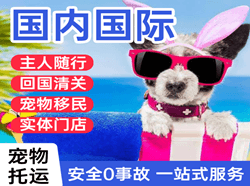 双流空运地址国际宠物托运 【国